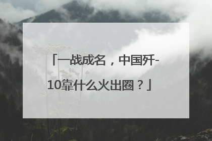一战成名，中国歼-10靠什么火出圈？