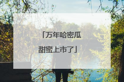 万年哈密瓜甜蜜上市了