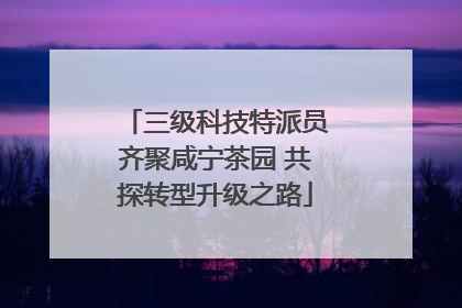 三级科技特派员齐聚咸宁茶园 共探转型升级之路