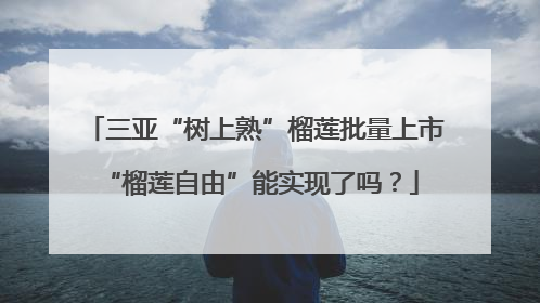 三亚“树上熟”榴莲批量上市 “榴莲自由”能实现了吗？
