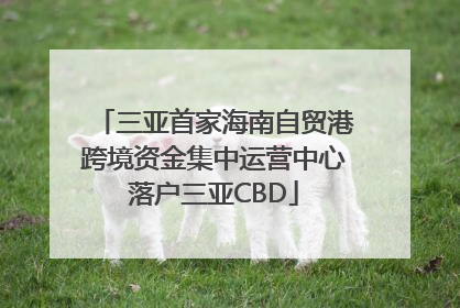 三亚首家海南自贸港跨境资金集中运营中心落户三亚CBD