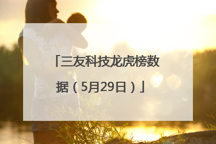 三友科技龙虎榜数据（5月29日）