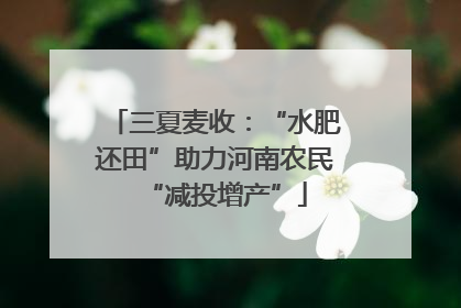 三夏麦收：“水肥还田”助力河南农民“减投增产”