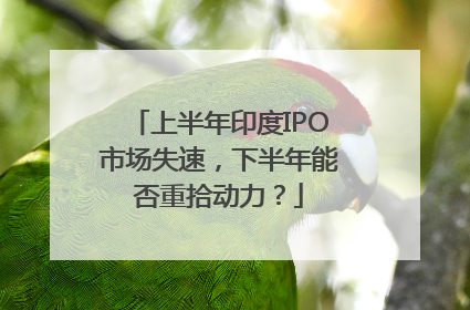 上半年印度IPO市场失速，下半年能否重拾动力？