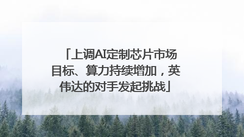 上调AI定制芯片市场目标、算力持续增加，英伟达的对手发起挑战
