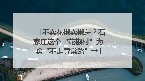不卖花椒卖椒芽？石家庄这个“花椒村”为啥“不走寻常路”→