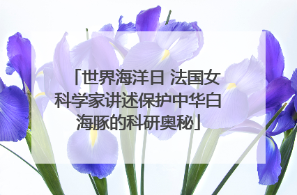 世界海洋日 法国女科学家讲述保护中华白海豚的科研奥秘