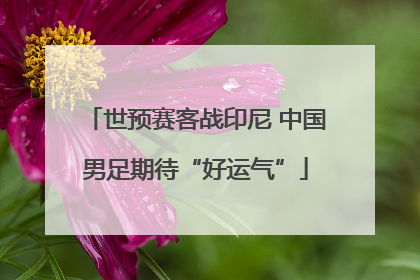 世预赛客战印尼 中国男足期待“好运气”