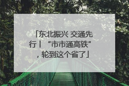 东北振兴 交通先行丨“市市通高铁”，轮到这个省了