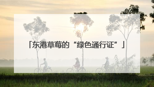 东港草莓的“绿色通行证”