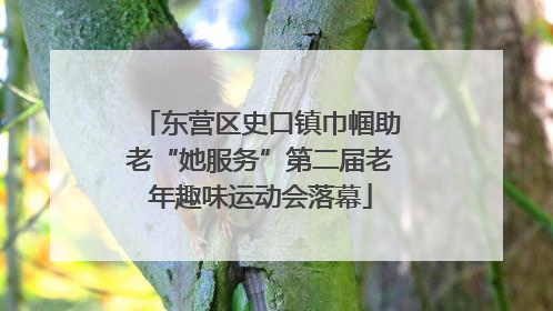 东营区史口镇巾帼助老“她服务”第二届老年趣味运动会落幕