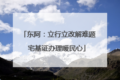 东阿：立行立改解难题 宅基证办理暖民心