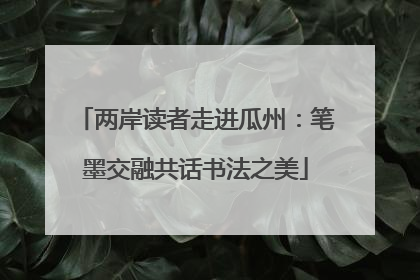 两岸读者走进瓜州：笔墨交融共话书法之美
