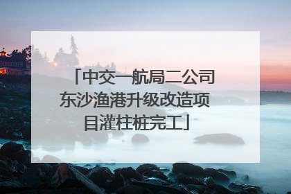 中交一航局二公司东沙渔港升级改造项目灌柱桩完工