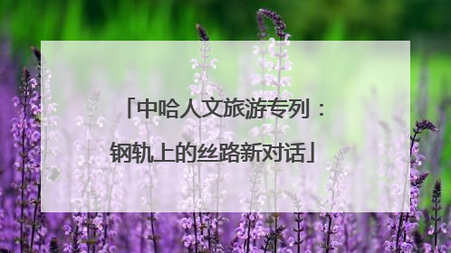 中哈人文旅游专列：钢轨上的丝路新对话