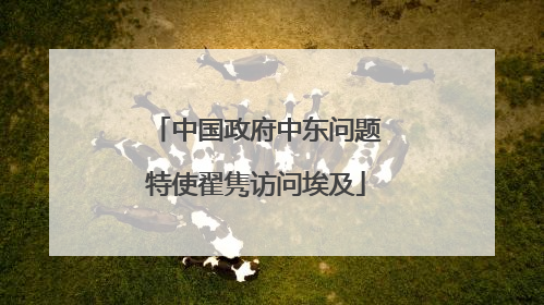 中国政府中东问题特使翟隽访问埃及