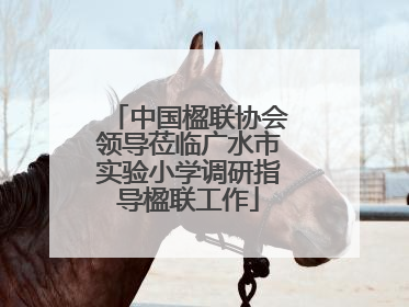 中国楹联协会领导莅临广水市实验小学调研指导楹联工作