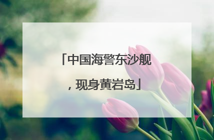 中国海警东沙舰，现身黄岩岛