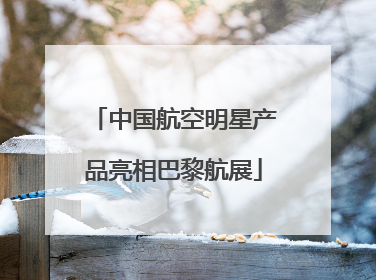 中国航空明星产品亮相巴黎航展