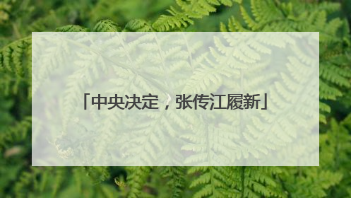 中央决定，张传江履新