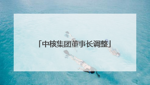 中核集团董事长调整