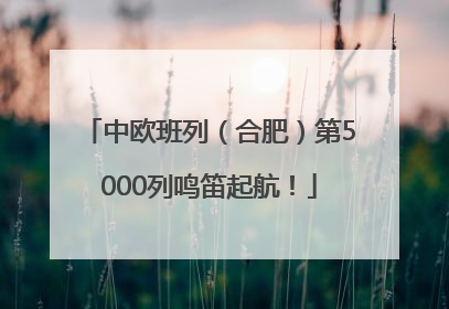 中欧班列（合肥）第5000列鸣笛起航！
