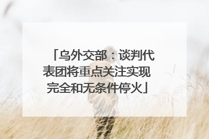 乌外交部：谈判代表团将重点关注实现完全和无条件停火