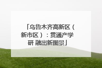 乌鲁木齐高新区（新市区）：贯通产学研 融出新图景