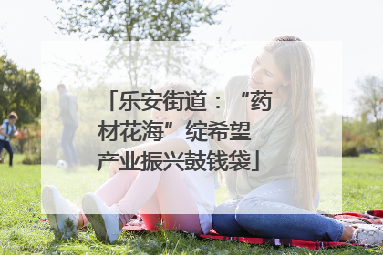 乐安街道：“药材花海”绽希望 产业振兴鼓钱袋