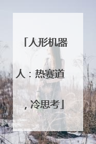 人形机器人：热赛道，冷思考