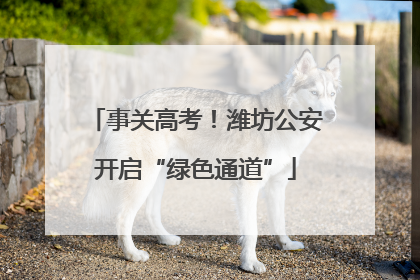 事关高考！潍坊公安开启“绿色通道”
