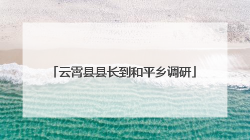 云霄县县长到和平乡调研