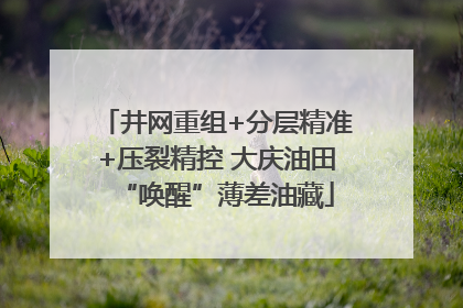 井网重组+分层精准+压裂精控 大庆油田“唤醒”薄差油藏