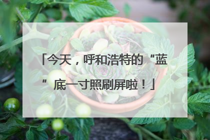今天，呼和浩特的“蓝”底一寸照刷屏啦！