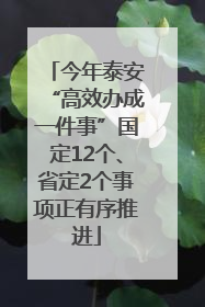 今年泰安“高效办成一件事”国定12个、省定2个事项正有序推进