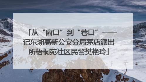 从“窗口”到“巷口”——记东湖高新公安分局茅店派出所梧桐苑社区民警樊艳玲