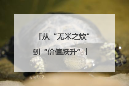 从“无米之炊”到“价值跃升”