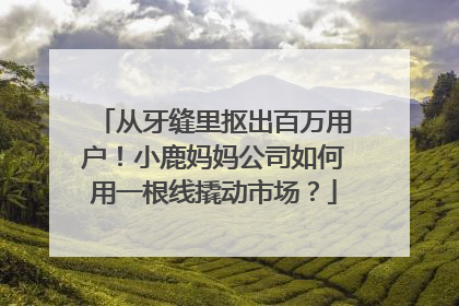 从牙缝里抠出百万用户！小鹿妈妈公司如何用一根线撬动市场？