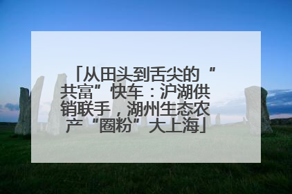 从田头到舌尖的“共富”快车：沪湖供销联手，湖州生态农产“圈粉”大上海