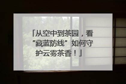 从空中到茶园，看“藏蓝防线”如何守护云雾茶香！