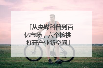 从央媒科普到百亿市场，六个核桃打开产业新空间