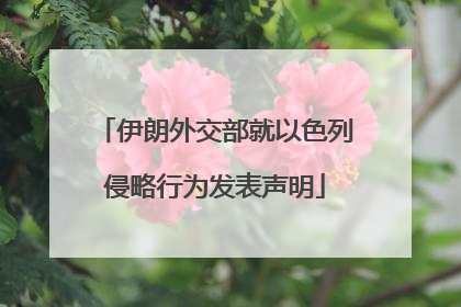 伊朗外交部就以色列侵略行为发表声明