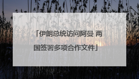伊朗总统访问阿曼 两国签署多项合作文件