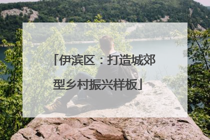 伊滨区：打造城郊型乡村振兴样板