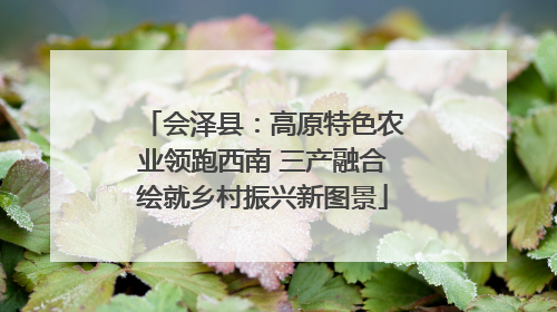 会泽县：高原特色农业领跑西南 三产融合绘就乡村振兴新图景