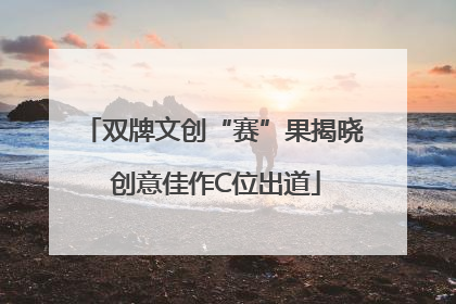 双牌文创“赛”果揭晓 创意佳作C位出道