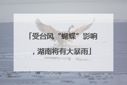 受台风“蝴蝶”影响，湖南将有大暴雨