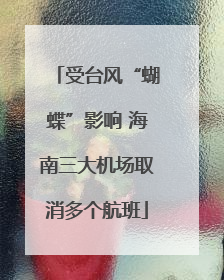 受台风“蝴蝶”影响 海南三大机场取消多个航班