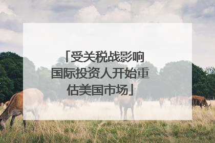 受关税战影响 国际投资人开始重估美国市场