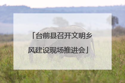 台前县召开文明乡风建设现场推进会